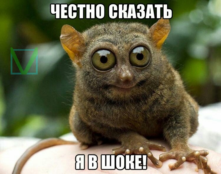 Приколы с животными 7. Изображение 11 Приколы с животными 7. Фото 6