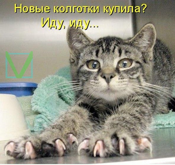 Приколы с животными 9. Изображение 11 Приколы с животными 9. Фото 6