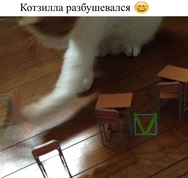 Приколы с животными 10. Изображение 1 Приколы с животными 10. Фото 1
