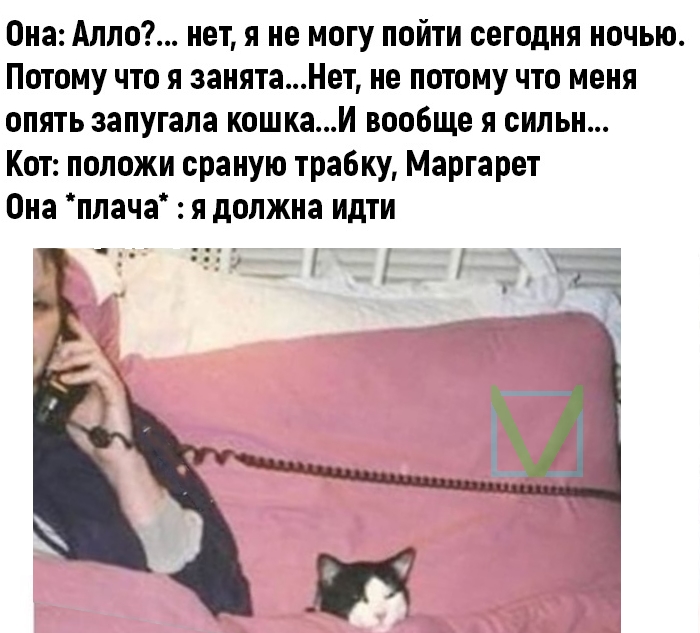 Приколы с животными 10. Изображение 11 Приколы с животными 10. Фото 6