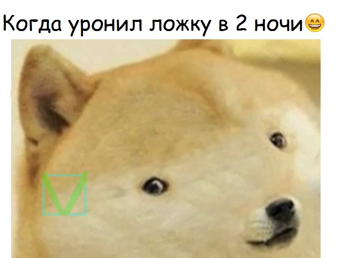 Приколы с животными 10. Изображение 7 Приколы с животными 10. Фото 4