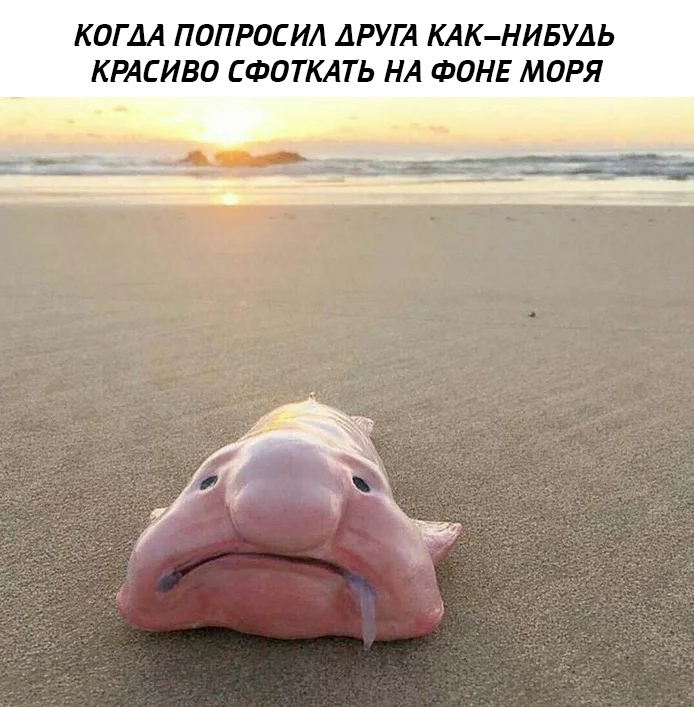 Приколы с животными 11. Изображение 3 Приколы с животными 11. Фото 2