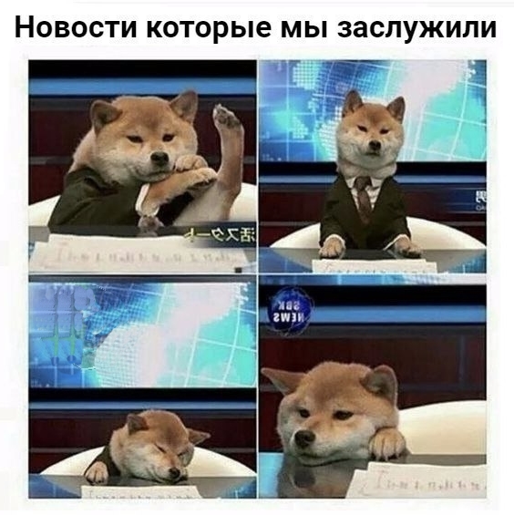 Приколы с животными 11. Изображение 5 Приколы с животными 11. Фото 3