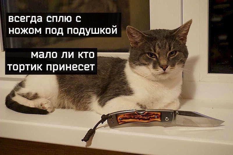 Приколы с животными 11. Изображение 9 Приколы с животными 11. Фото 5