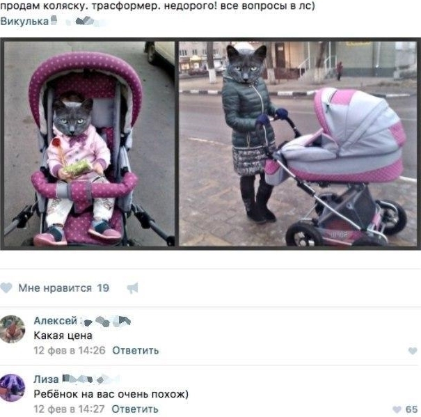 Приколы с животными 12. Изображение 5 Приколы с животными 12. Фото 3