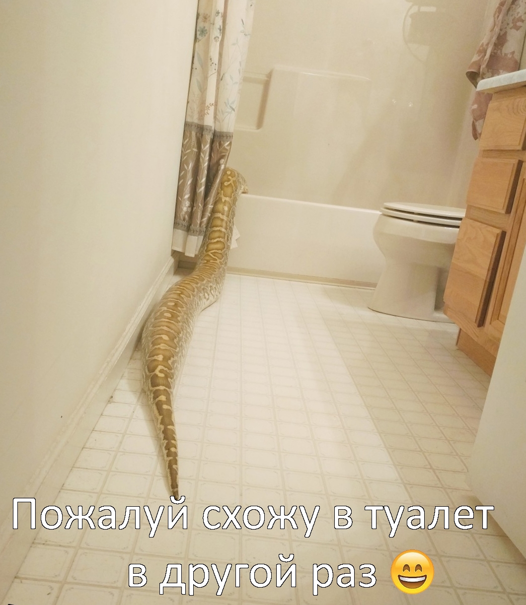 Приколы с животными 13. Изображение 1 Приколы с животными 13. Фото 1