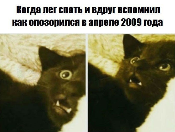 Приколы с животными 15. Изображение 7 Приколы с животными 15. Фото 4
