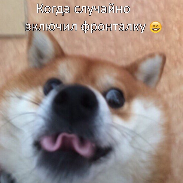 Приколы с животными 15. Изображение 9 Приколы с животными 15. Фото 5