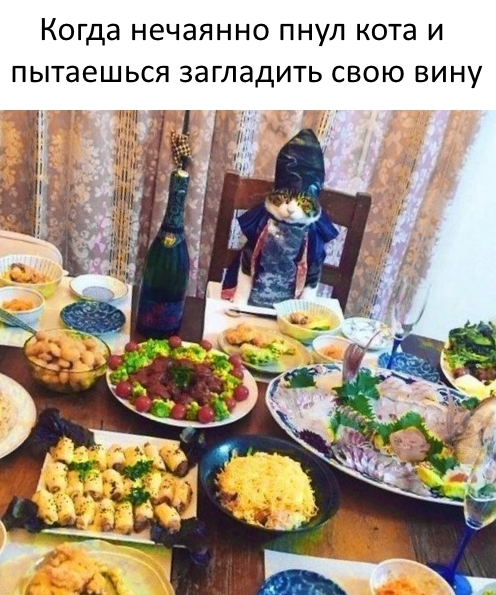 Приколы с животными 16. Изображение 1 Приколы с животными 16. Фото 1