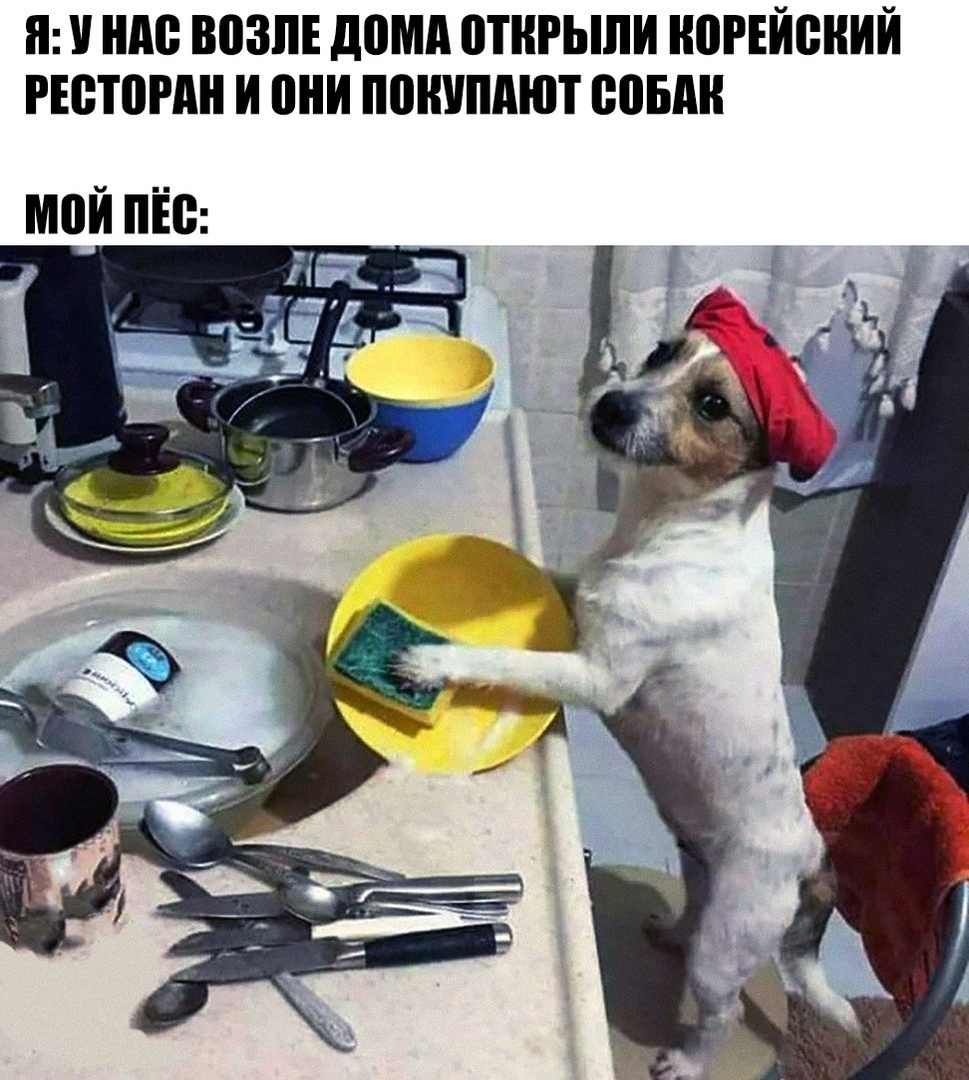 Приколы с животными 16. Изображение 3 Приколы с животными 16. Фото 2