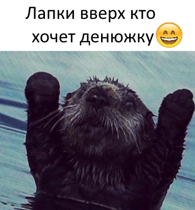 Приколы с животными 18. Изображение 1 Приколы с животными 18. Фото 1