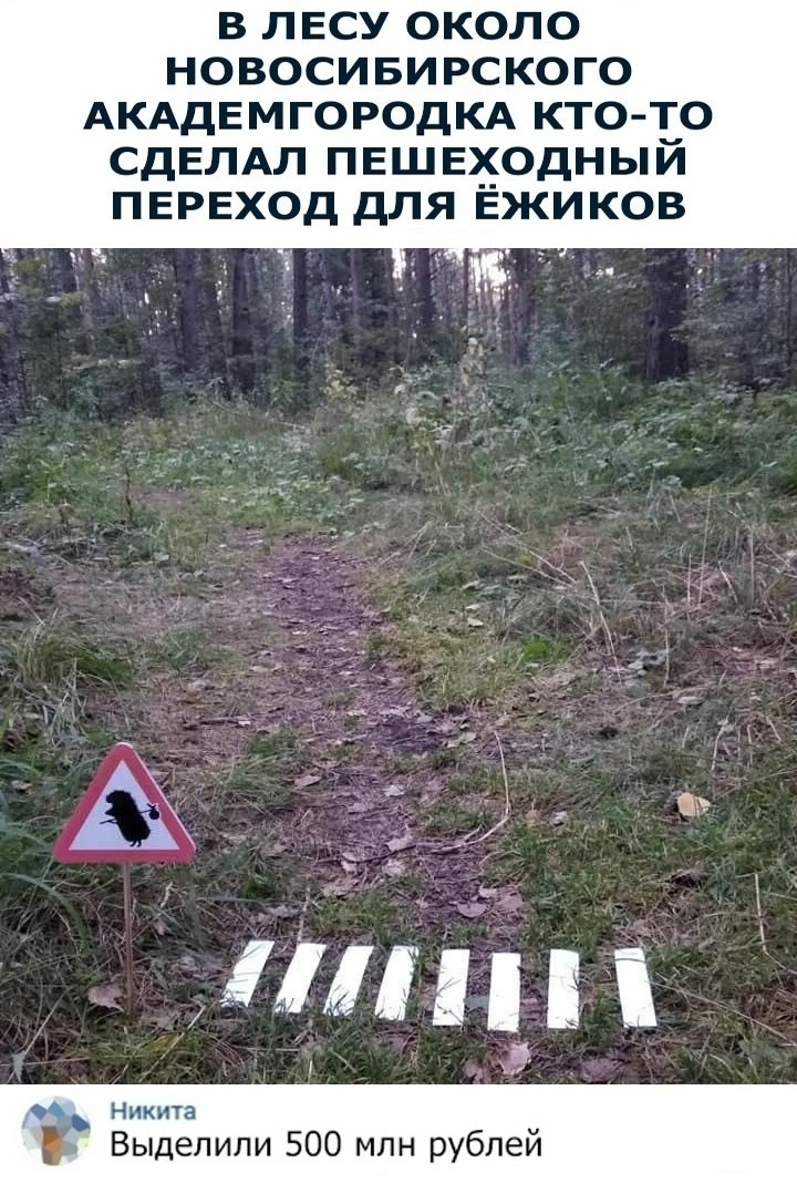 Приколы с животными 19. Изображение 3 Приколы с животными 19. Фото 2