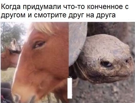 Приколы с животными 23. Изображение 7 Приколы с животными 23. Фото 4