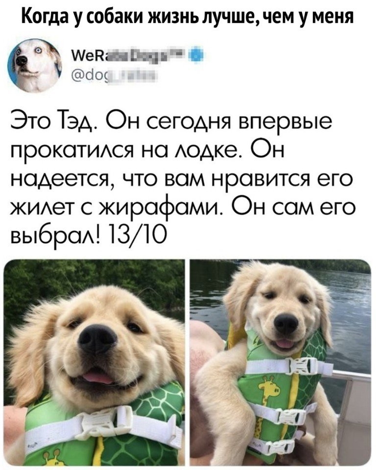 Приколы с животными 13. Изображение 13 Приколы с животными 13. Фото 7