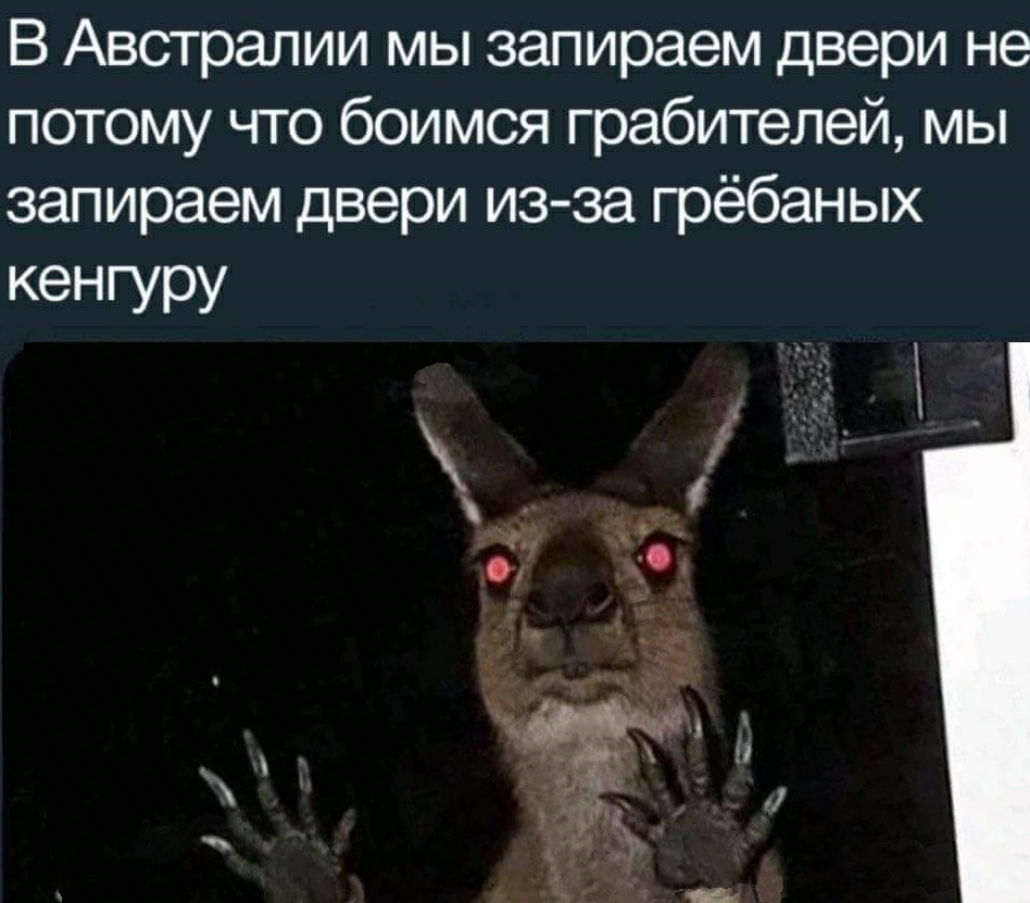 Приколы с животными 16. Изображение 11 Приколы с животными 16. Фото 6