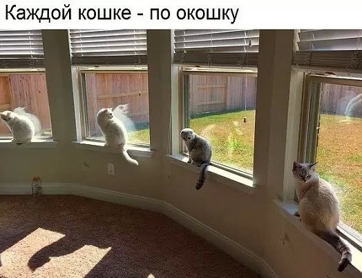 Приколы с животными 19. Изображение 13 Приколы с животными 19. Фото 7