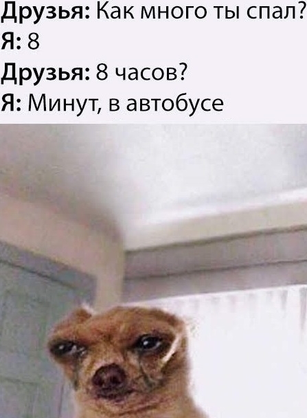 Приколы с животными 24. Изображение 3 Приколы с животными 24. Фото 2
