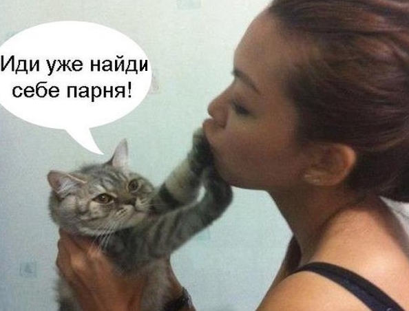 Приколы с животными 27. Изображение 1 Приколы с животными 27. Фото 1