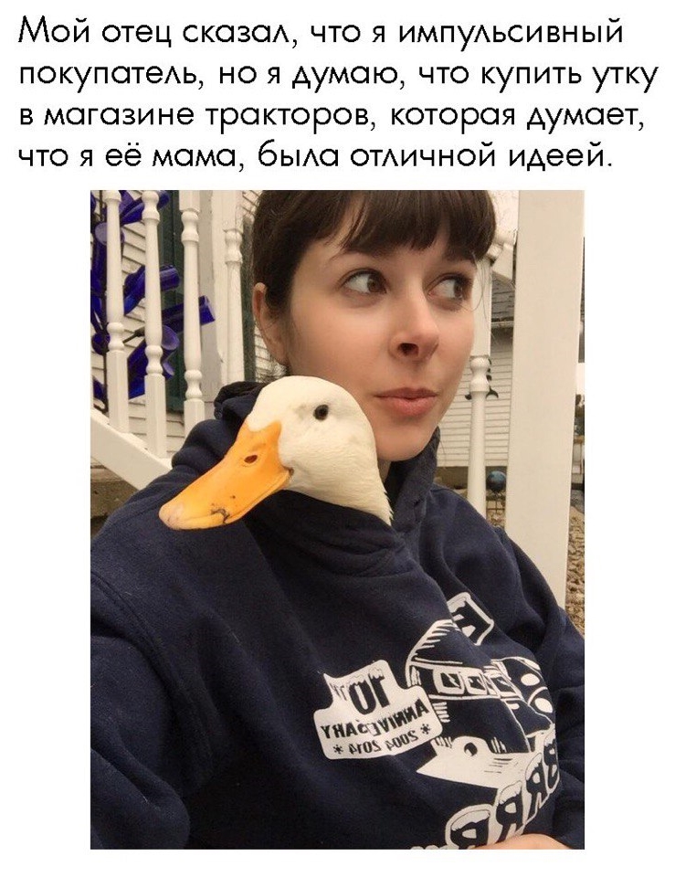 Приколы с животными 28. Изображение 7 Приколы с животными 28. Фото 4