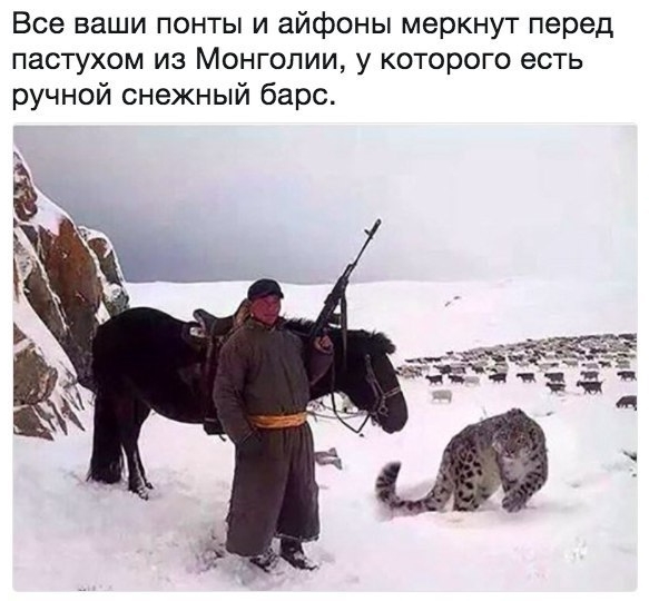 Приколы с животными 24. Изображение 15 Приколы с животными 24. Фото 8