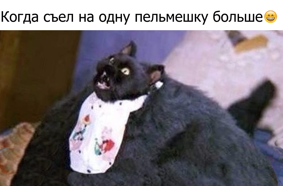 Приколы с животными 26. Изображение 11 Приколы с животными 26. Фото 6