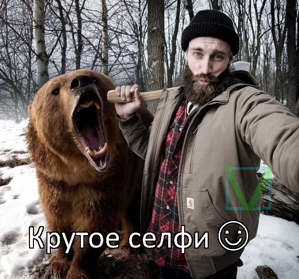 прикол с бурым медведем прикол с бурым медведем фото