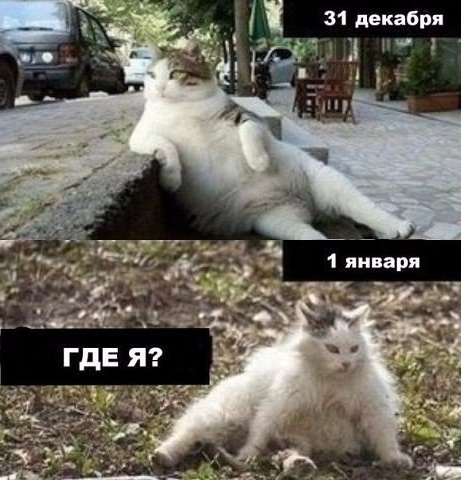 Приколы с животными 22. Изображение 5 Приколы с животными 22. Фото 3