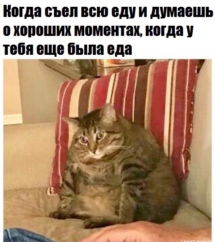 Приколы с животными 22. Изображение 13 Приколы с животными 22. Фото 7